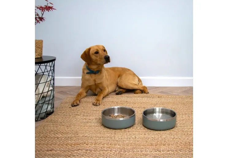 Ancol Stainless Steel Bowl Sage