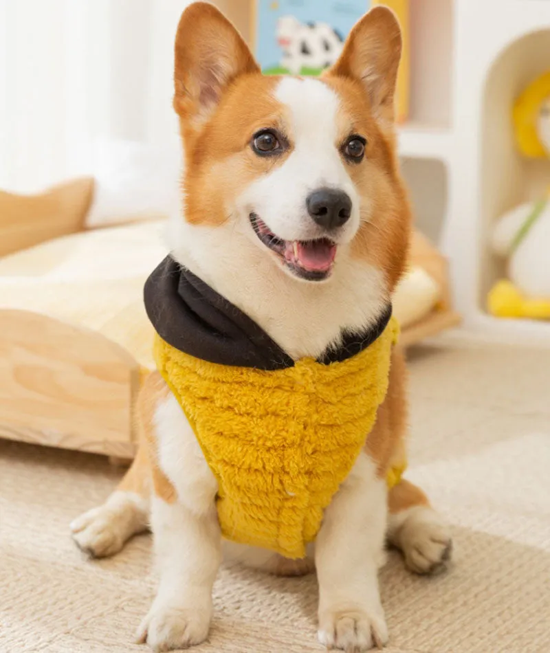 Autumn and winter dog jacquard comfortable cotton velvet Corgi two-legged fleece dachshund small and medium-sized dog warm pet dog clothes