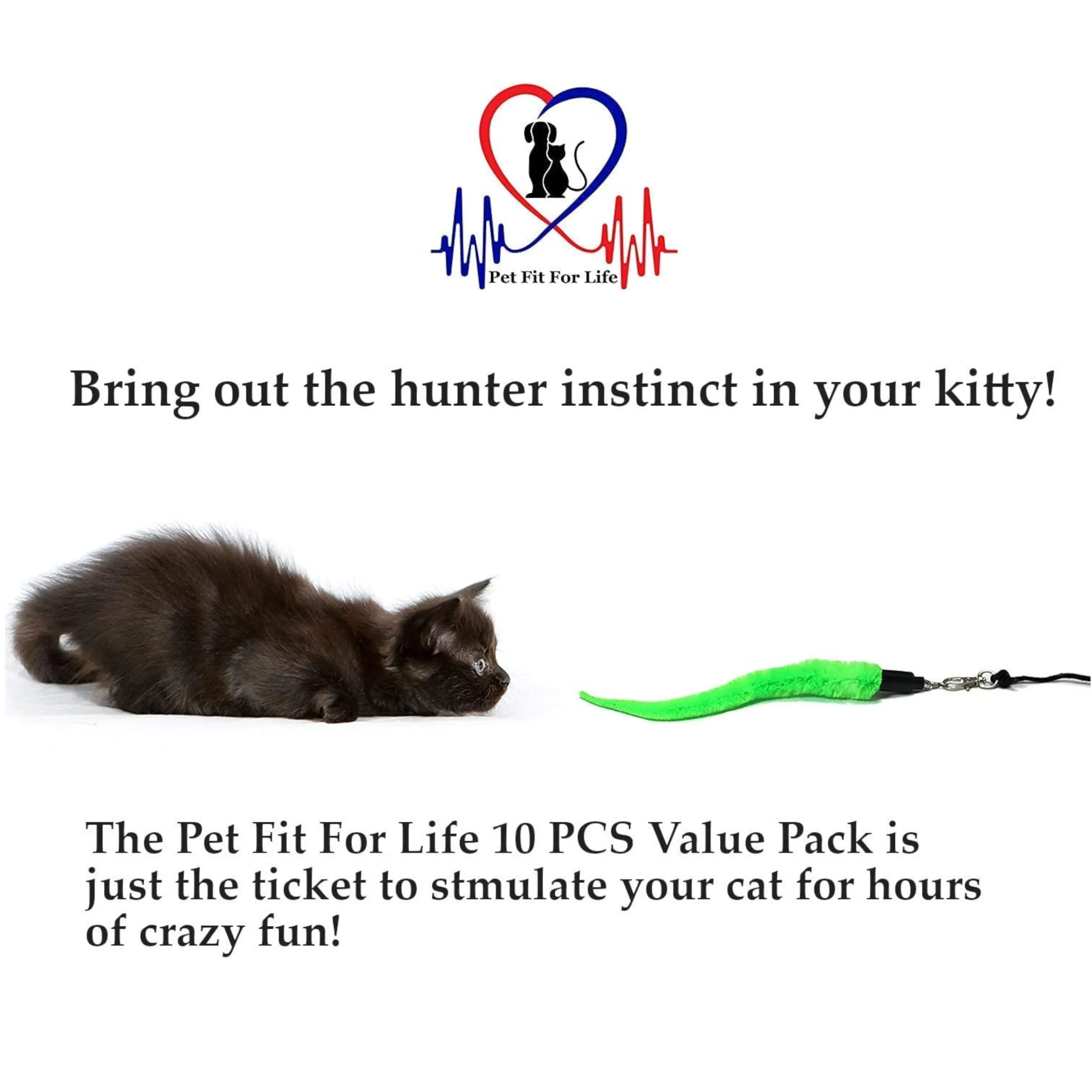 Cat Wand with 5 Squiggly Worms and 5 Mice