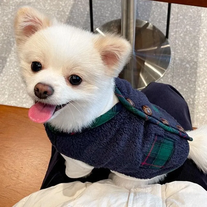 Checked Winter Clothes with Scarf