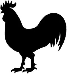 Chicken Champ Pet Bundle