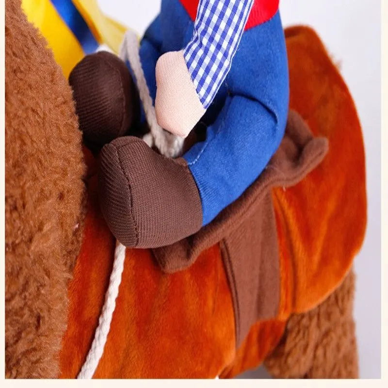 Clothes For Small Dog