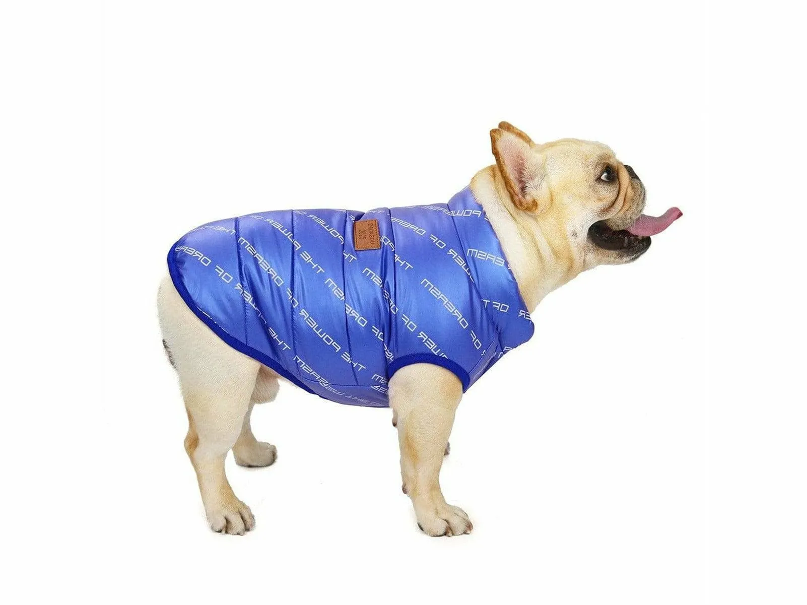 dog clothes Blue  L AWYP-7