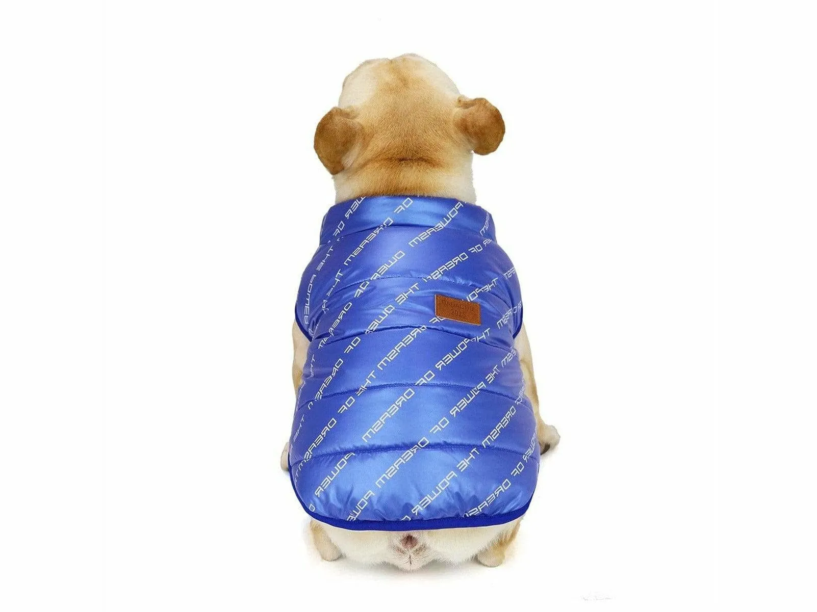 dog clothes Blue  L AWYP-7