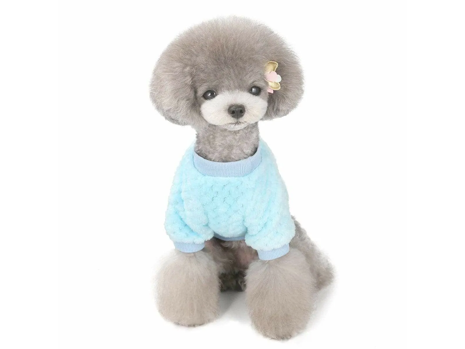 dog clothes Blue S AWYP-202001