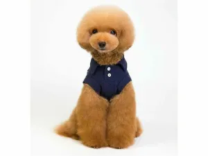 dog clothes Blue S KLN-201846
