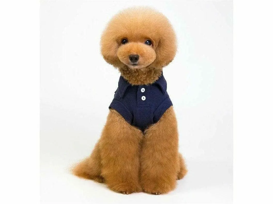 dog clothes Blue S KLN-201846