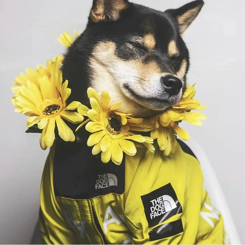 Dog Clothes Raincoat For Small Big Dogs Wind Coat Windbreaker