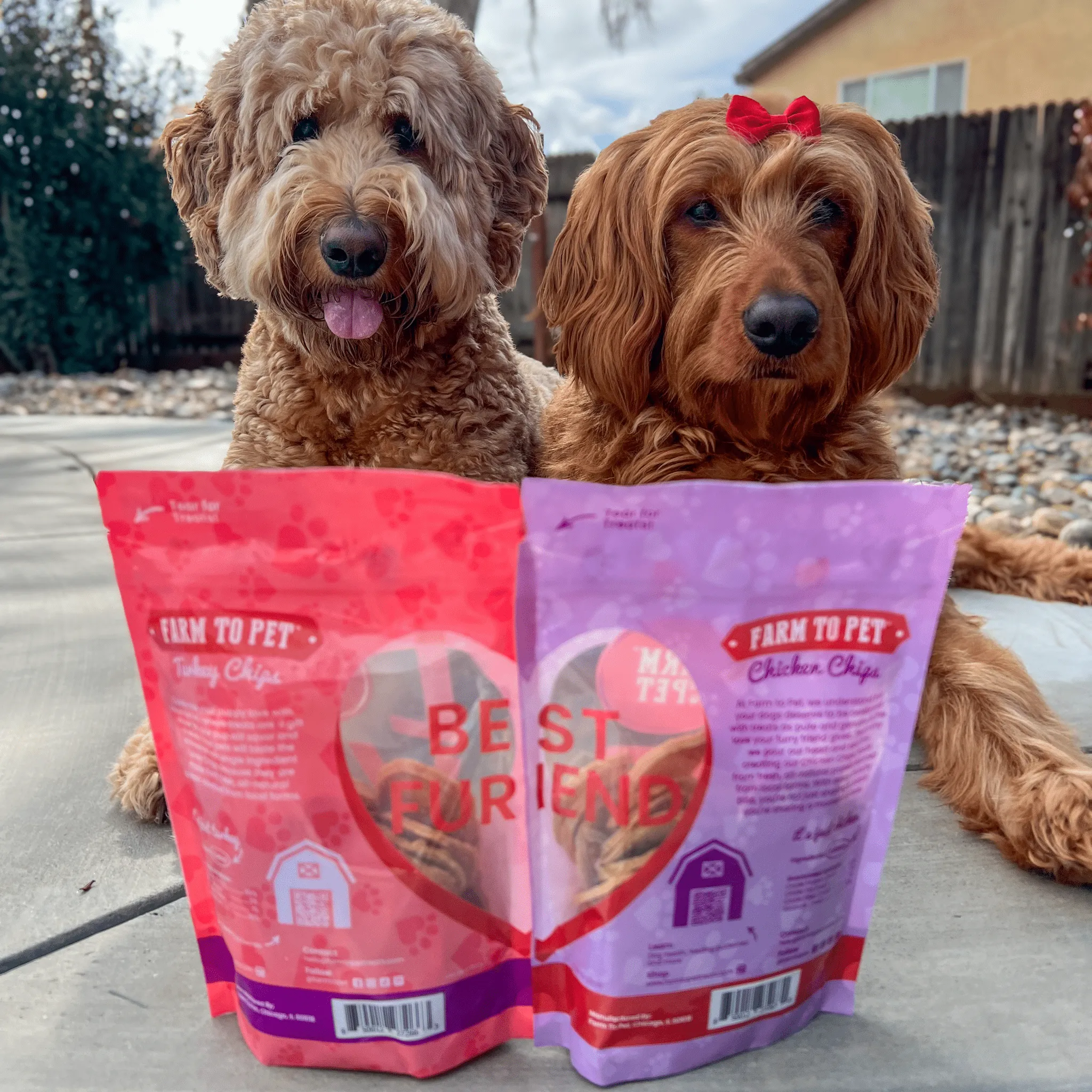 Dog Valentine Love Chips Bundle