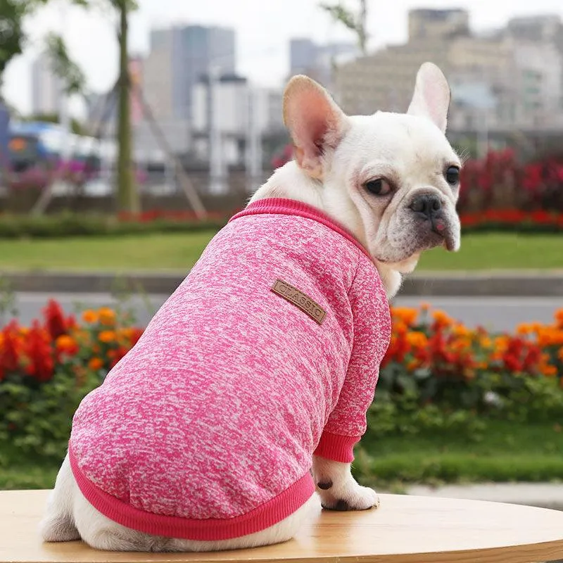 Dog winter sweater