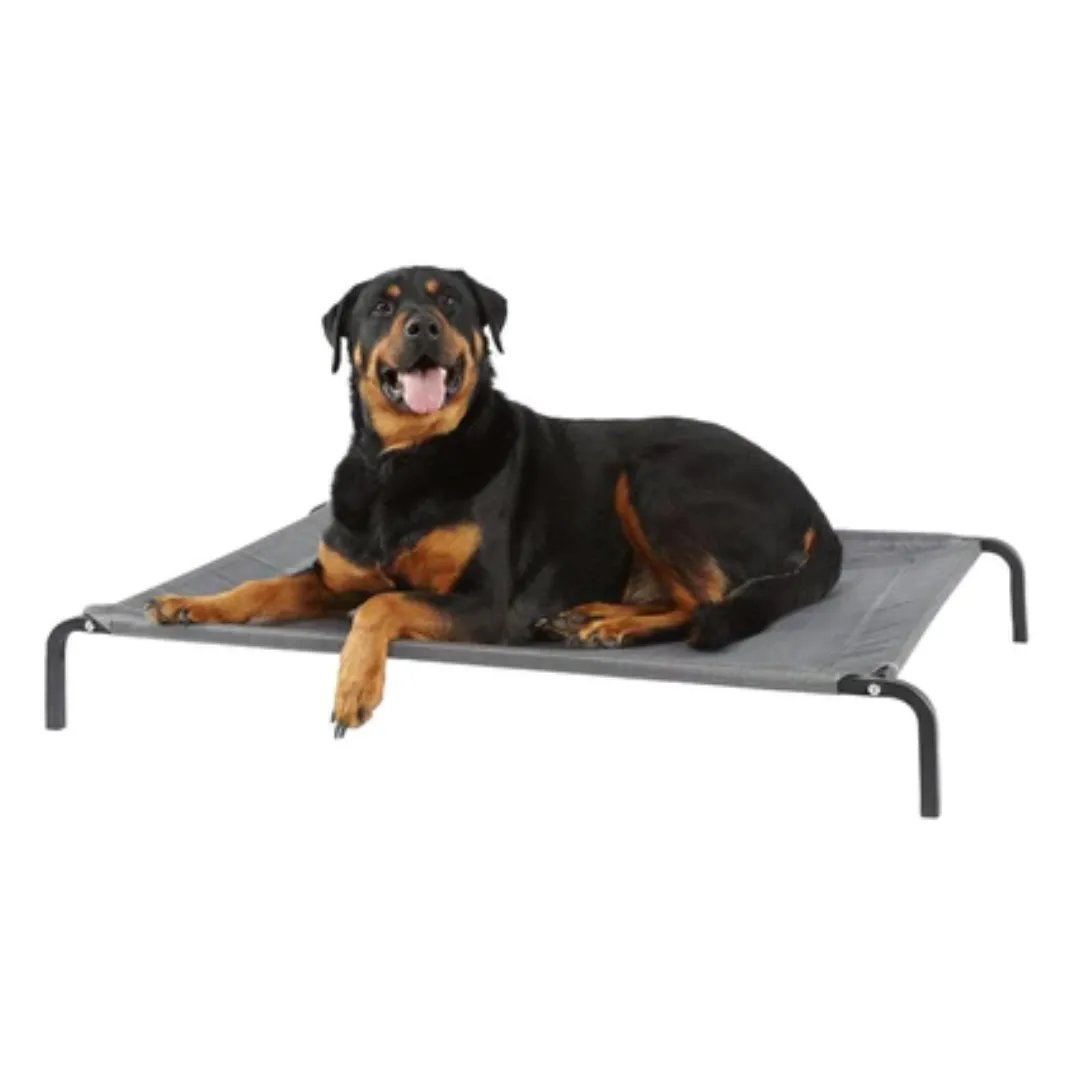 Elevated Dog Bed
