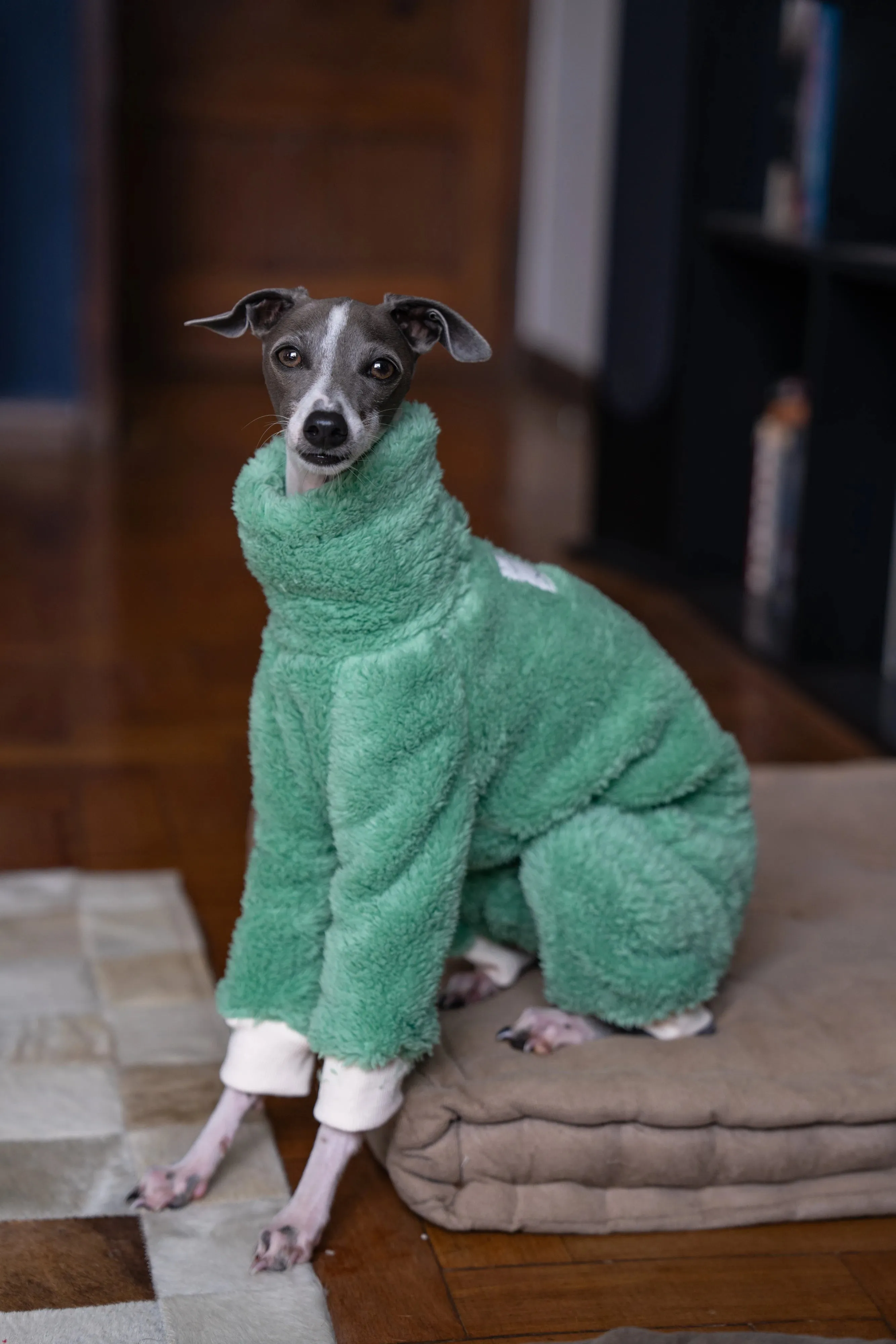 Green Christmas Italian Greyhound Clothes | Soft Warm Winter Puppy Clothes | Whippet Coat