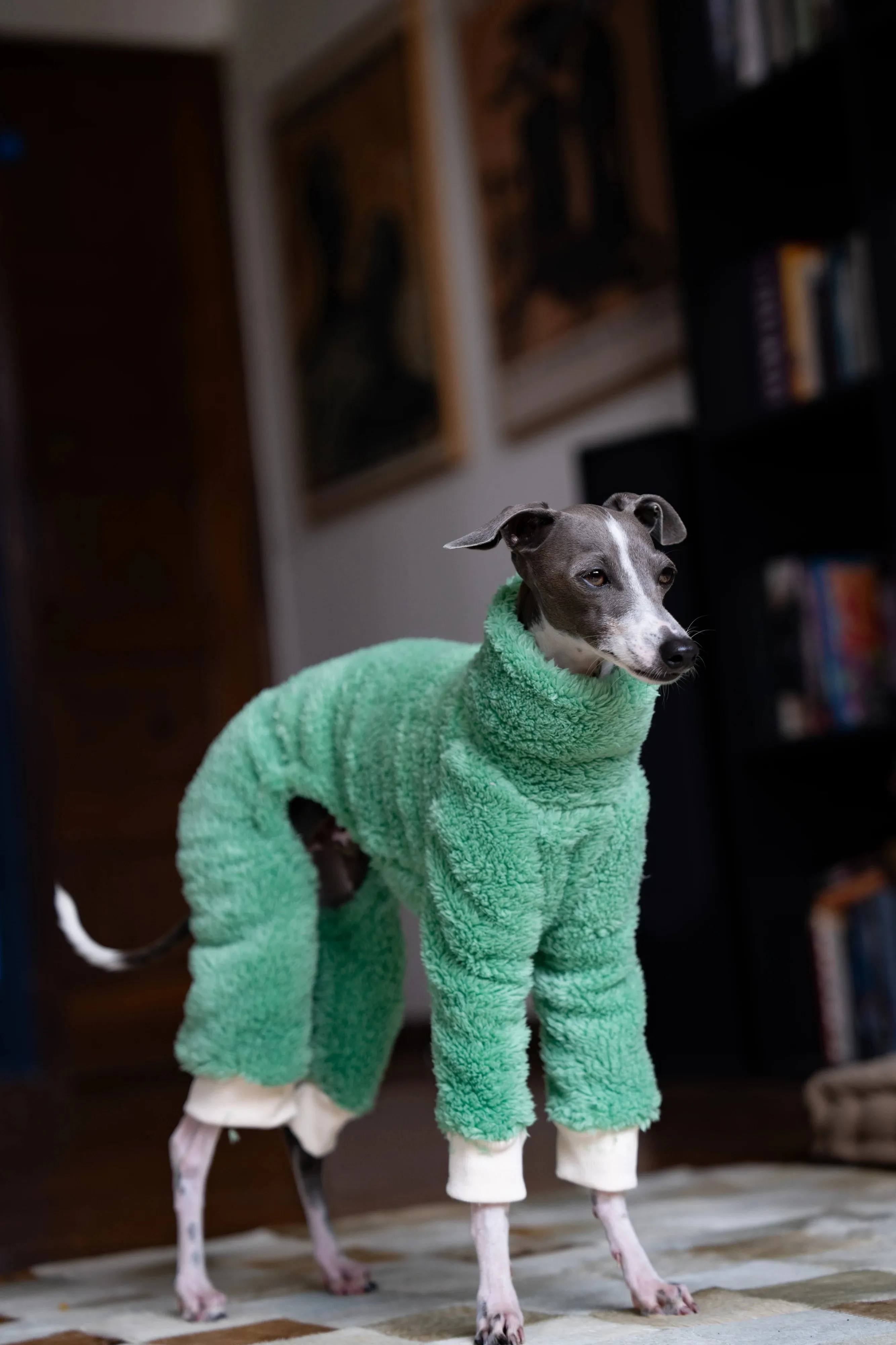 Green Christmas Italian Greyhound Clothes | Soft Warm Winter Puppy Clothes | Whippet Coat