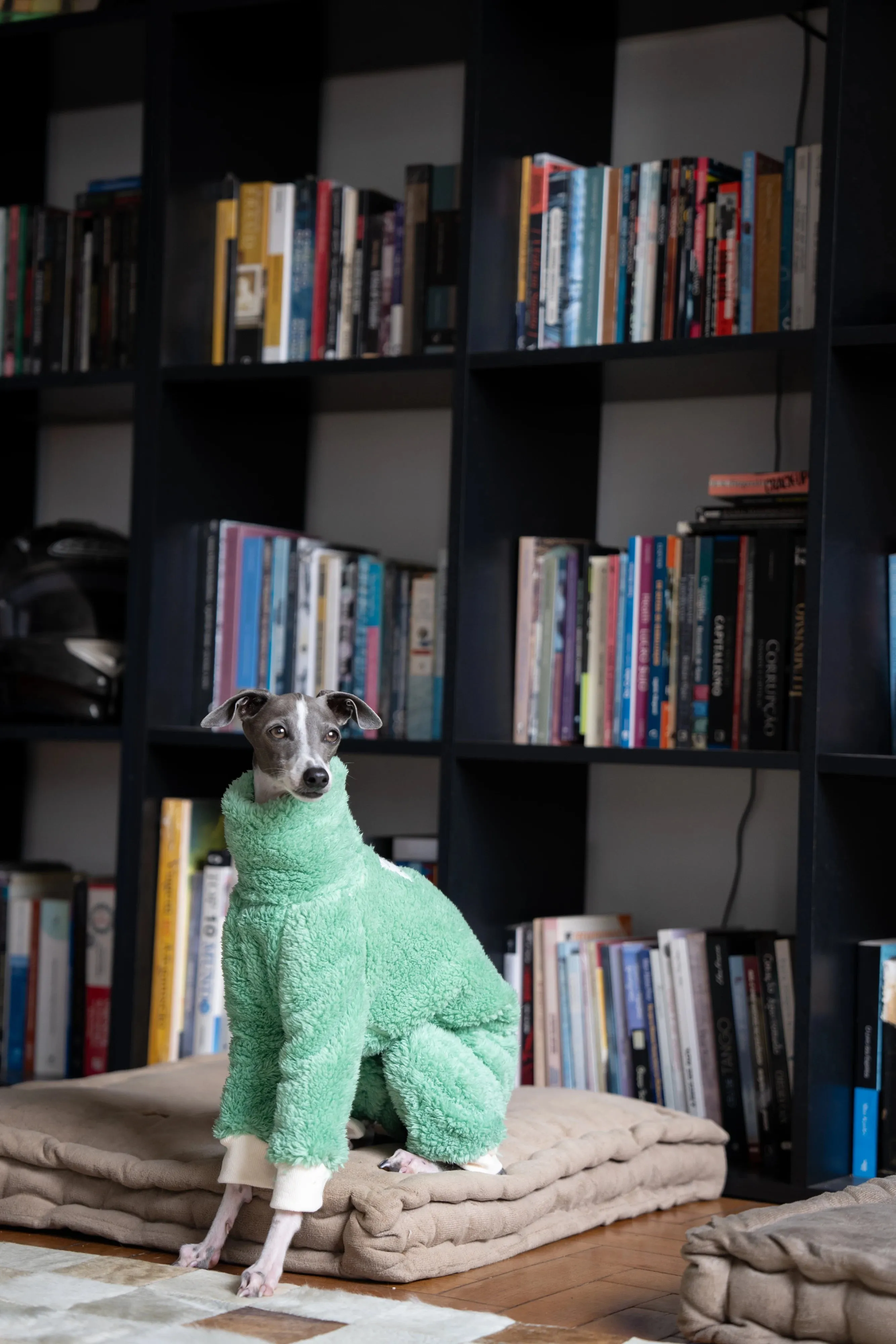 Green Christmas Italian Greyhound Clothes | Soft Warm Winter Puppy Clothes | Whippet Coat