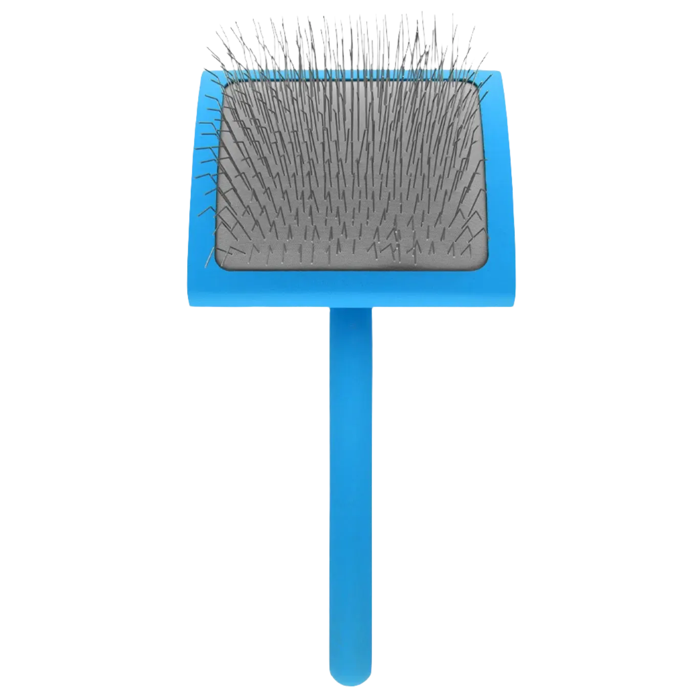 Large Blue Dematting Brush by Zolitta