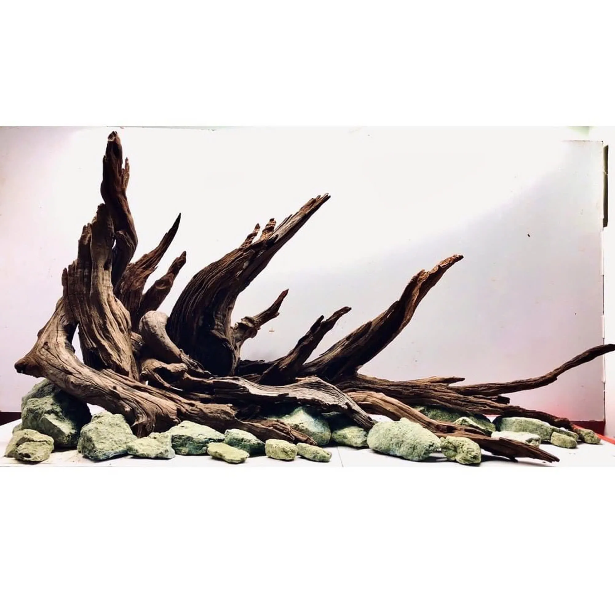 Natural Aquarium Style Décor with Custom Size, Fish & Shrimp Tank Decoration