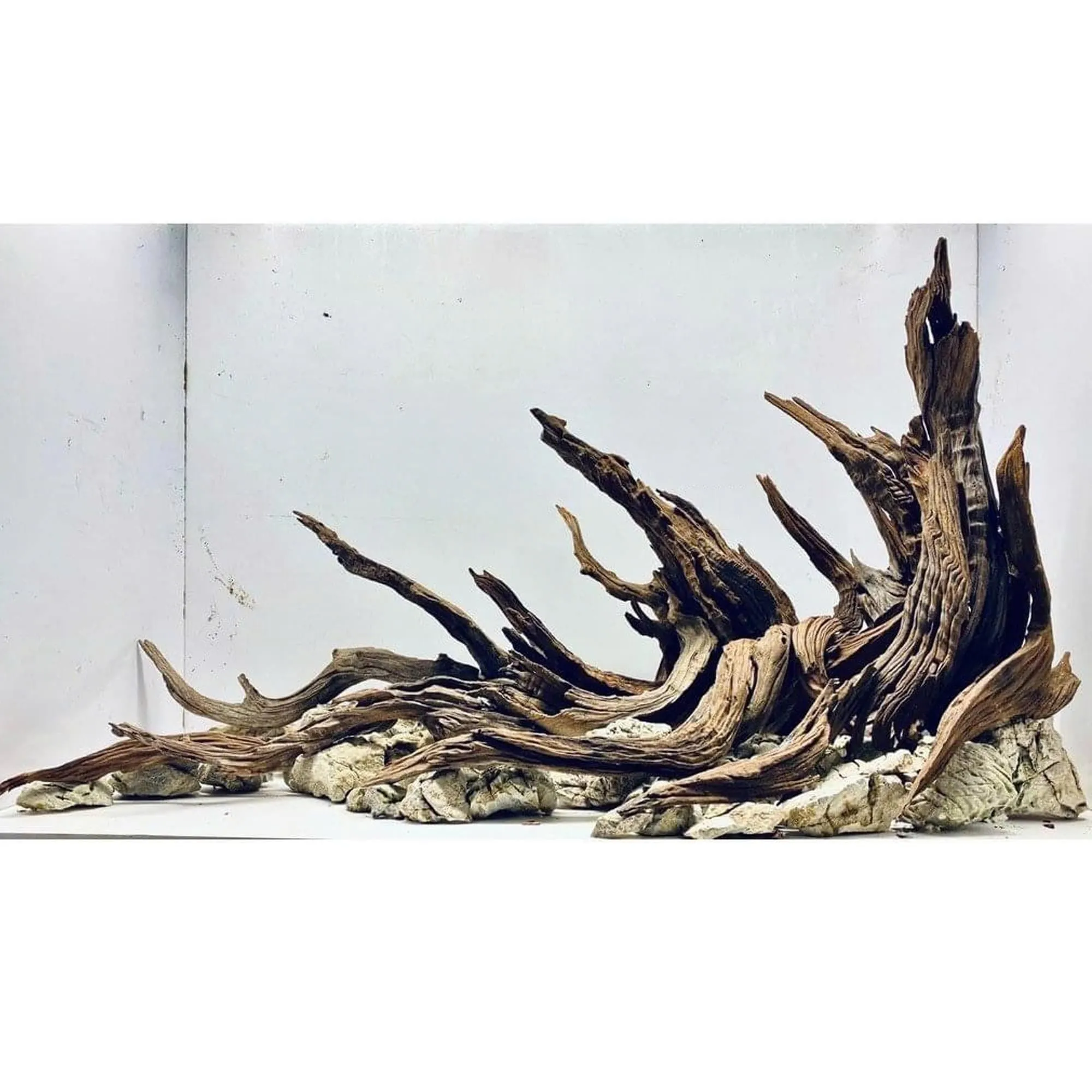 Natural Aquarium Style Décor with Custom Size, Fish & Shrimp Tank Decoration
