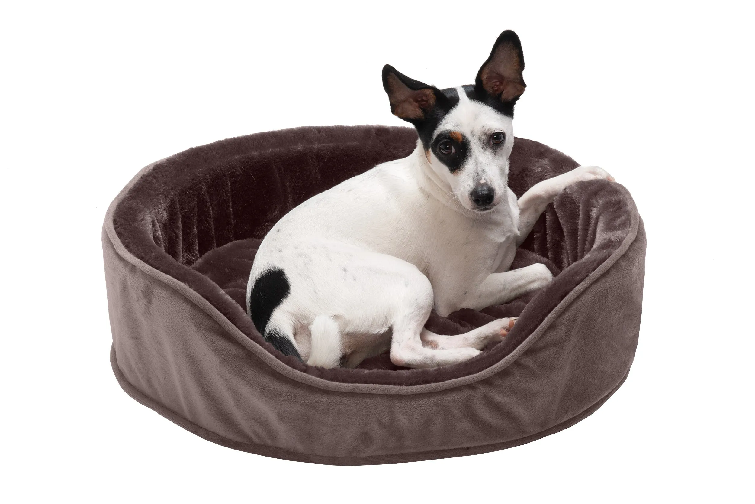Oval Dog Bed - Plush & Velvet