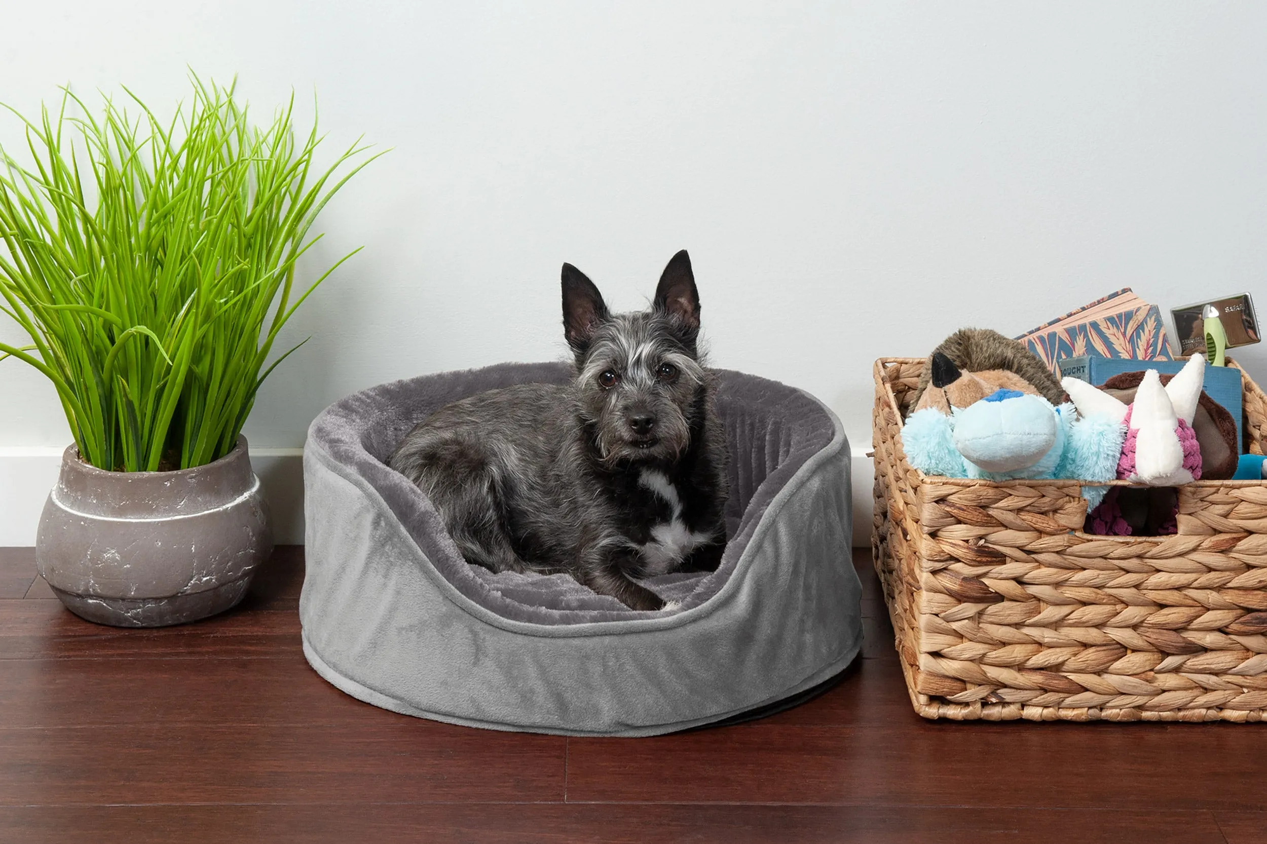 Oval Dog Bed - Plush & Velvet