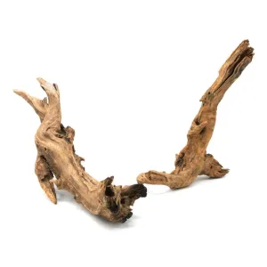 Pacific Wood SM (6-9 inches)