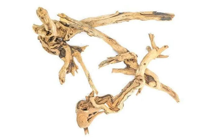 Pacific Wood SM (6-9 inches)