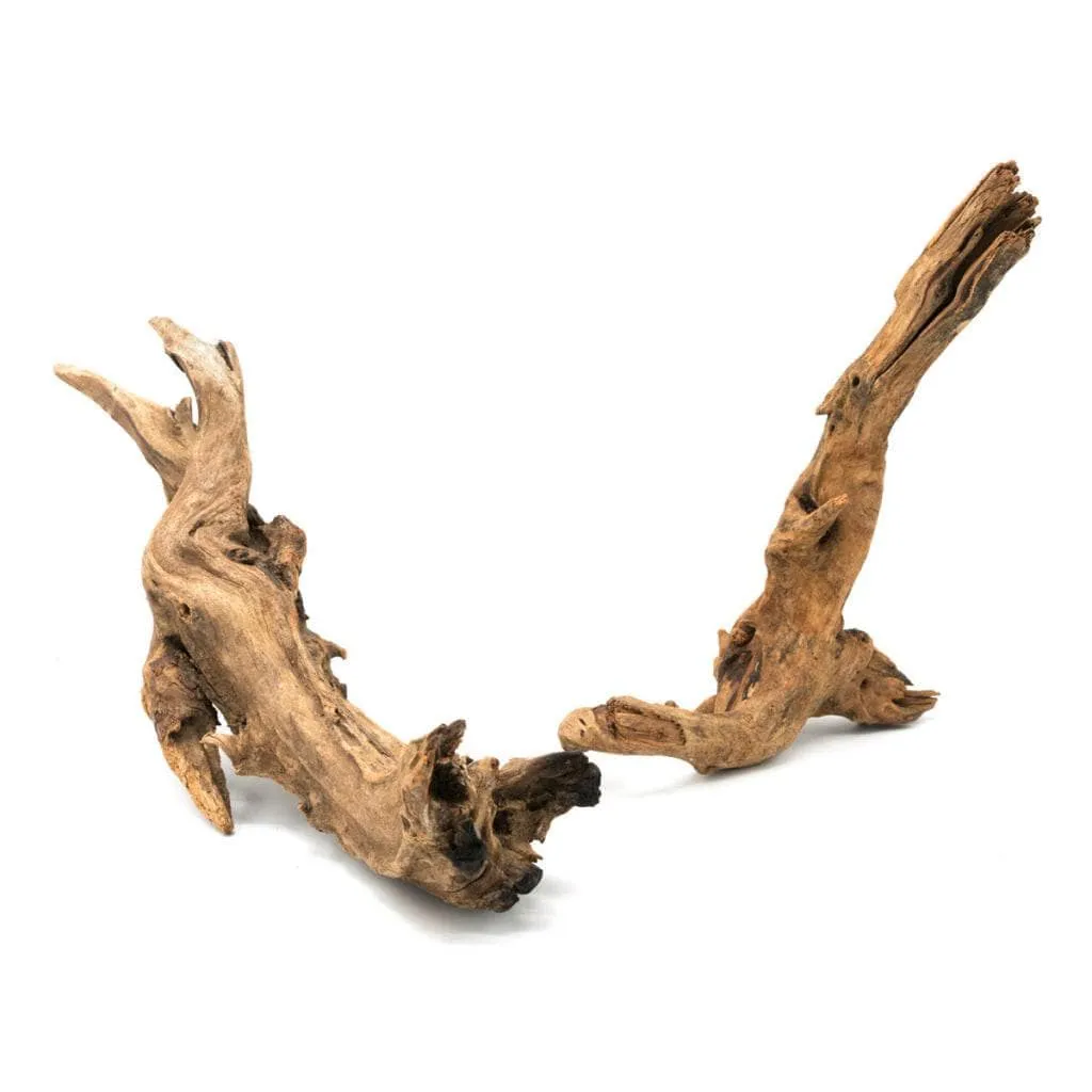 Pacific Wood SM (6-9 inches)