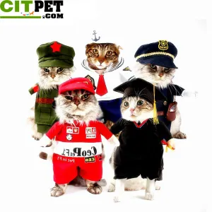 Pet Cat Costume Funny Cat Clothes