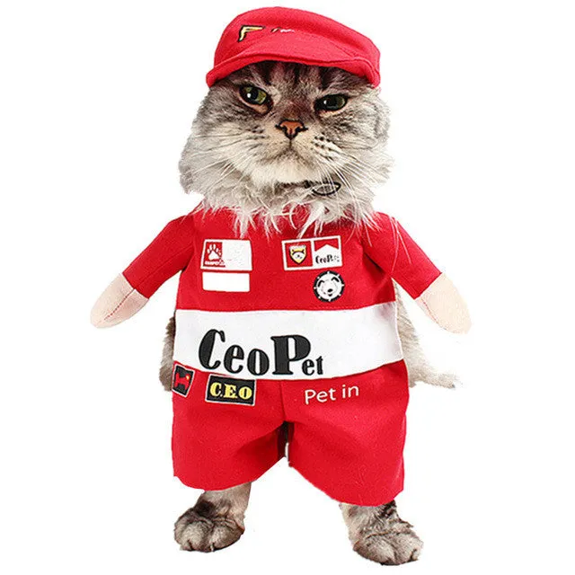 Pet Cat Costume Funny Cat Clothes