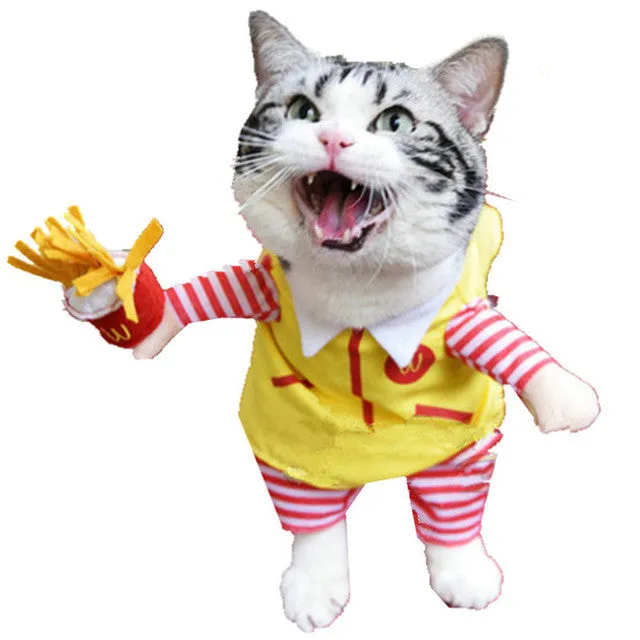 Pet Cat Costume Funny Cat Clothes