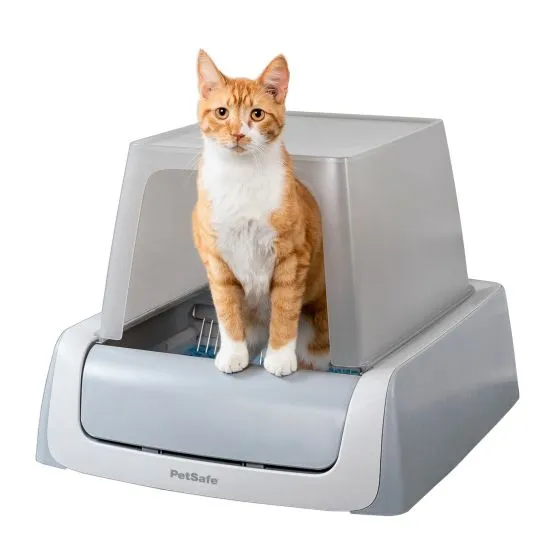 PetSafe Scoopfree 1.5 Cat Litter Box Hooded Cat