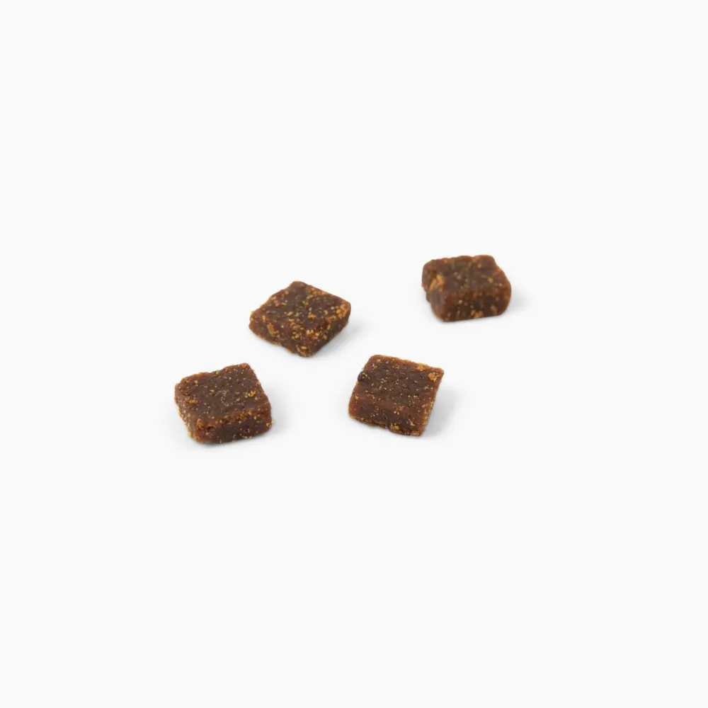 Pumpkin and Carrot 4 Pack Bundle