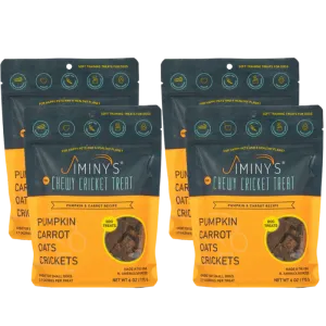 Pumpkin and Carrot 4 Pack Bundle