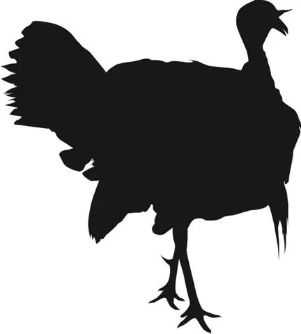Turkey Champ Pet Bundle
