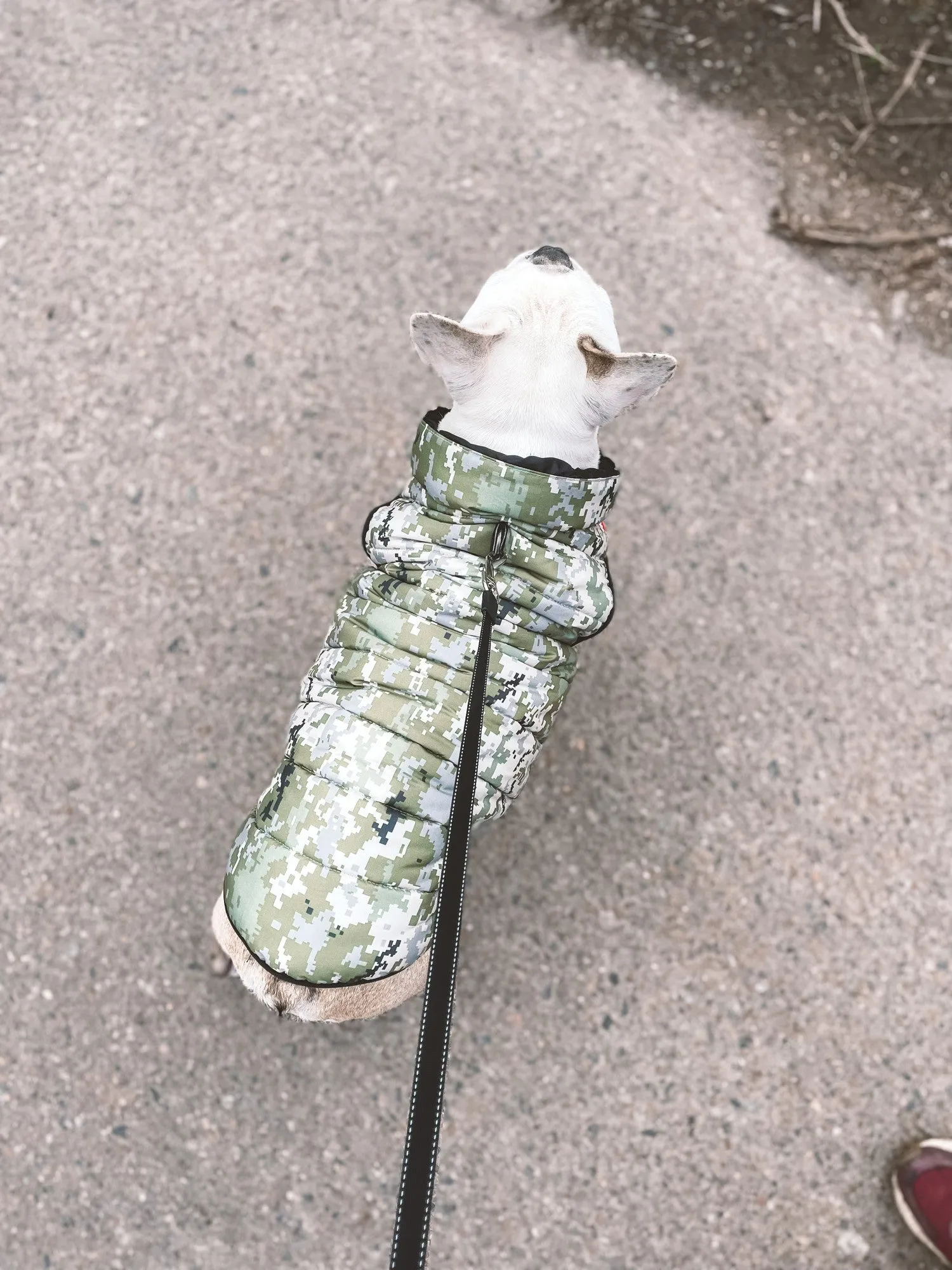 WAUDOG MILITARY DESIGN DOG JACKET