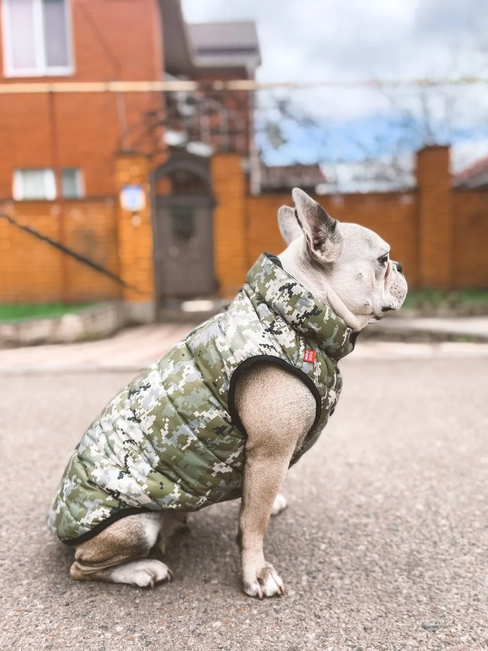 WAUDOG MILITARY DESIGN DOG JACKET